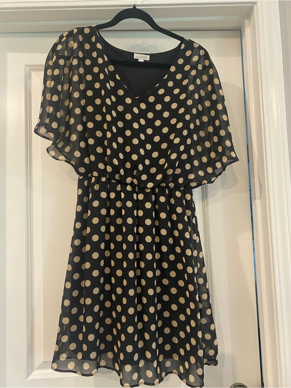 Charming Charlie Black & Cream dress